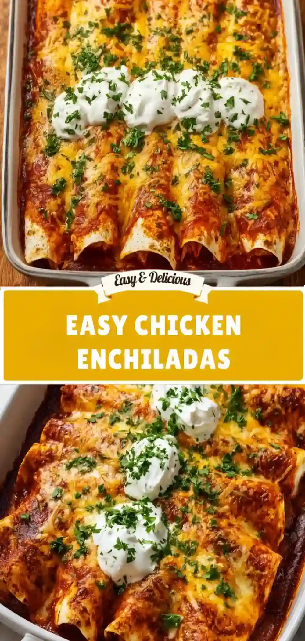 easy chicken enchiladas tall
