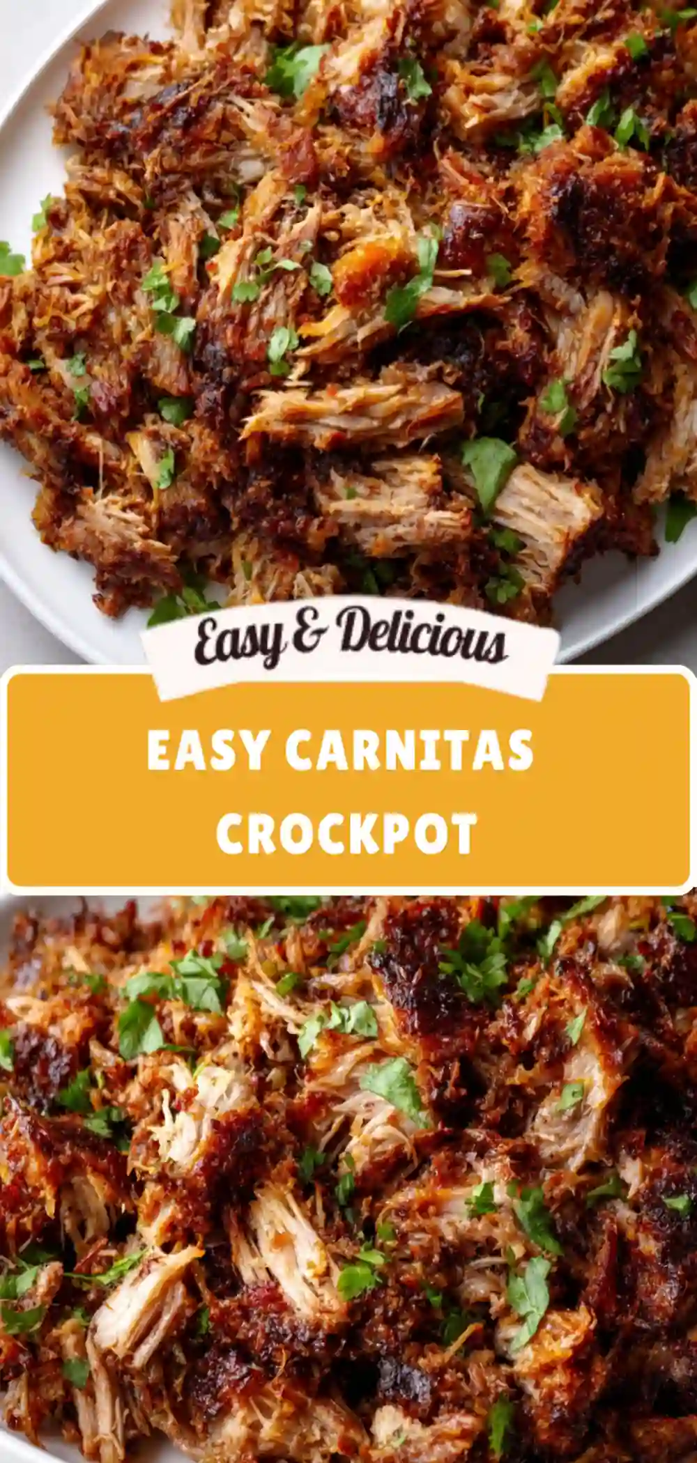 easy carnitas crockpot 1000x2100 1
