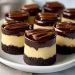 mini chocolate cheesecake bites 2025 10 24 094423 150x150 1
